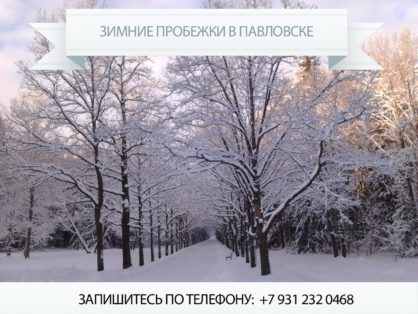 Зимние пробежки в Павловском парке.